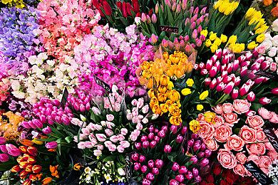 Steam开启JRPG特卖活动 如龙、伊苏系列等皆有参与